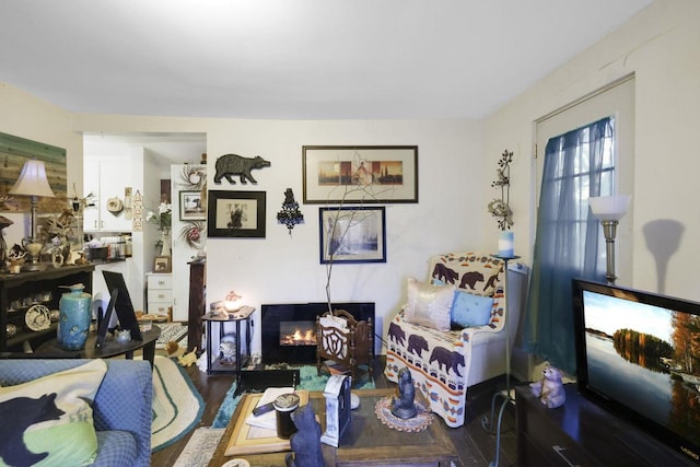 living room featuring hardwood / wood-style floors