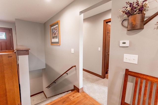 staircase featuring wood-type flooring