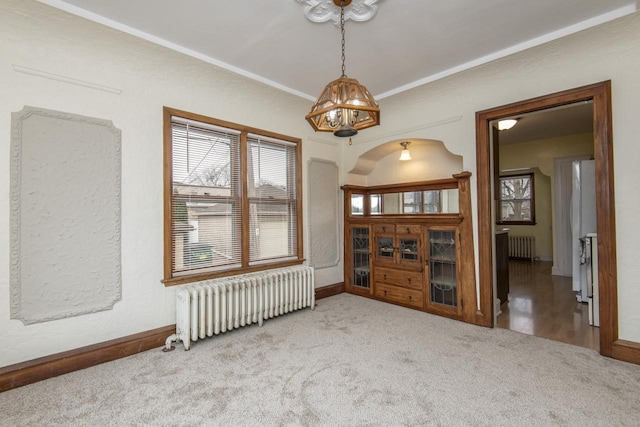 unfurnished room featuring radiator heating unit and light colored carpet