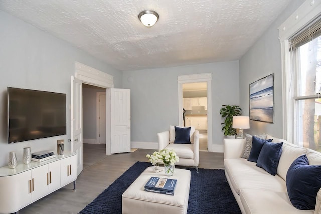 living room featuring wood-type flooring and a textured ceiling