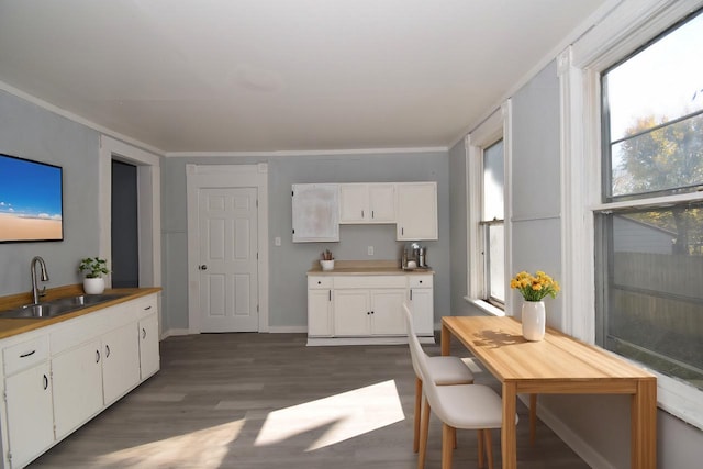 interior space with plenty of natural light, crown molding, sink, and dark wood-type flooring