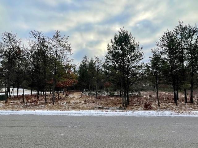 404 13th Dr, Nekoosa WI, 54457 land for sale