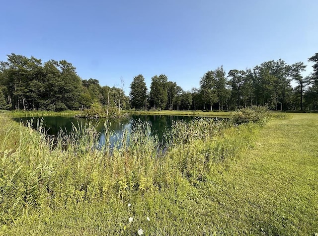 Autumn Blaze Trl, Sobieski WI, 54171 land for sale