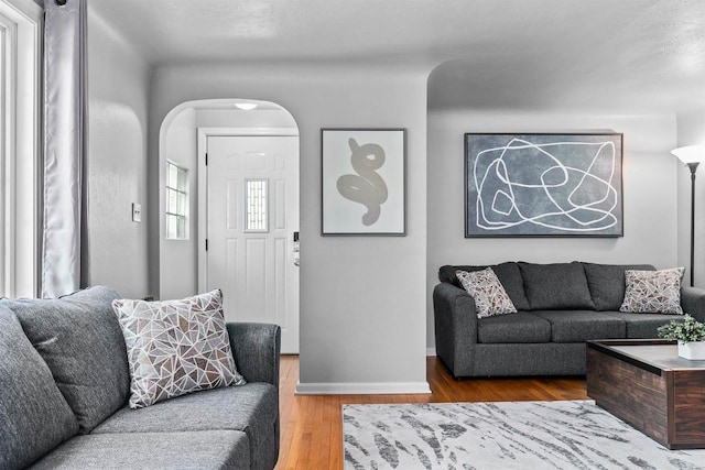 living room featuring hardwood / wood-style floors and a healthy amount of sunlight