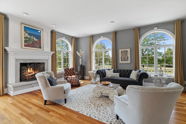 living room featuring a healthy amount of sunlight and light wood-type flooring