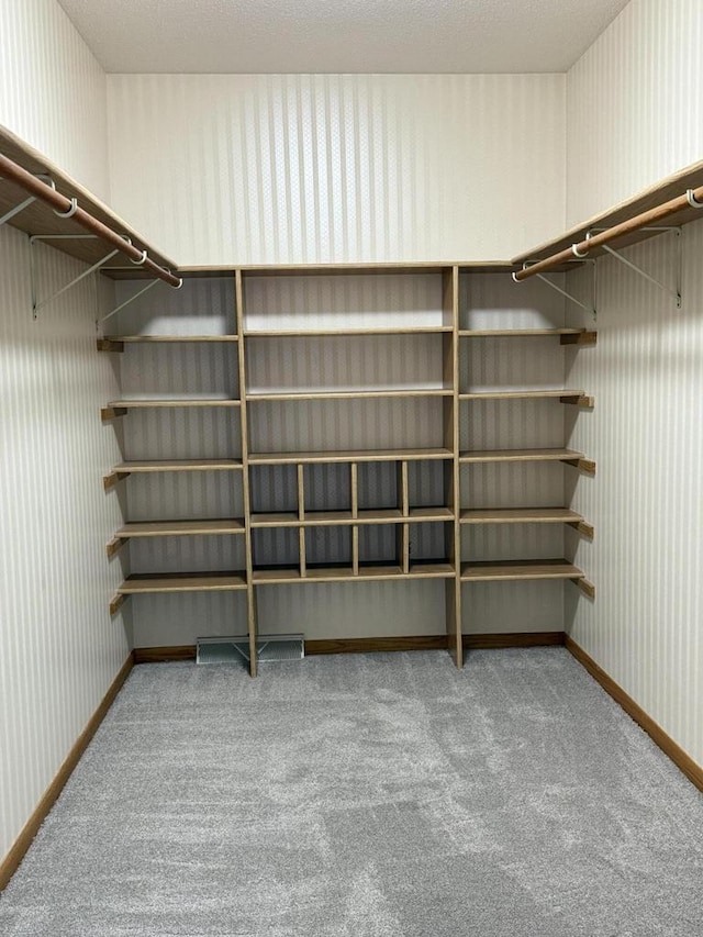 walk in closet with carpet