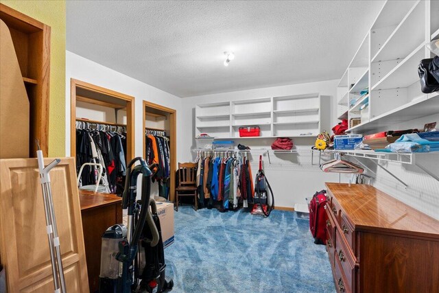 walk in closet with light carpet