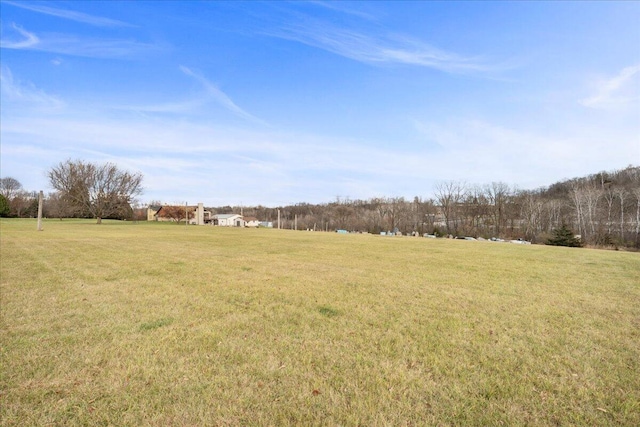 view of yard with a rural view