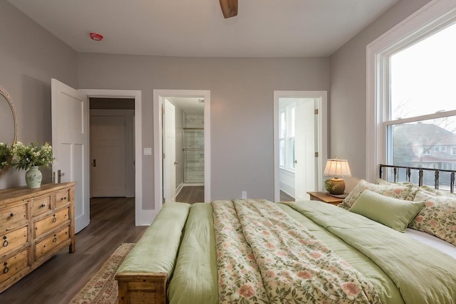 bedroom featuring ceiling fan, dark hardwood / wood-style flooring, and ensuite bath