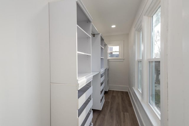 spacious closet with dark hardwood / wood-style floors