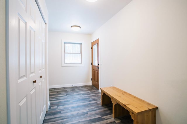 hall featuring dark hardwood / wood-style flooring