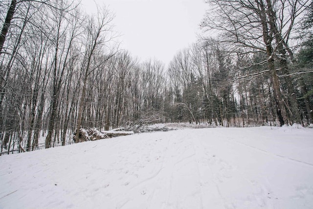 view of yard covered in snow