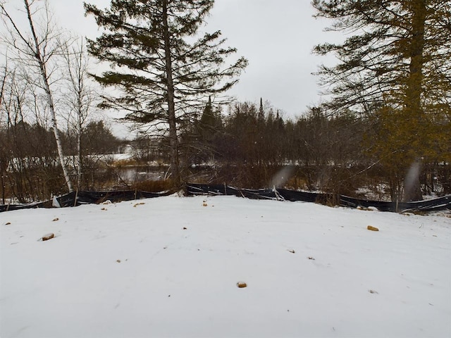 view of yard covered in snow