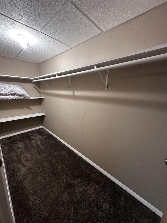 walk in closet with carpet flooring and a drop ceiling