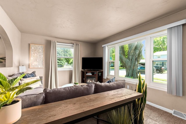 carpeted living room featuring a fireplace and a healthy amount of sunlight