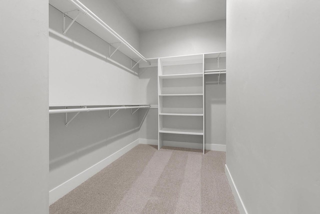 walk in closet with light carpet