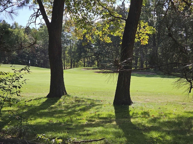 view of home's community with a yard