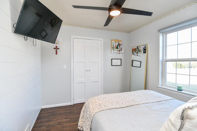 bedroom featuring ceiling fan, dark hardwood / wood-style floors, a closet, and multiple windows