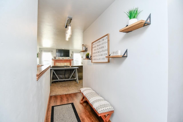 hallway featuring wood-type flooring