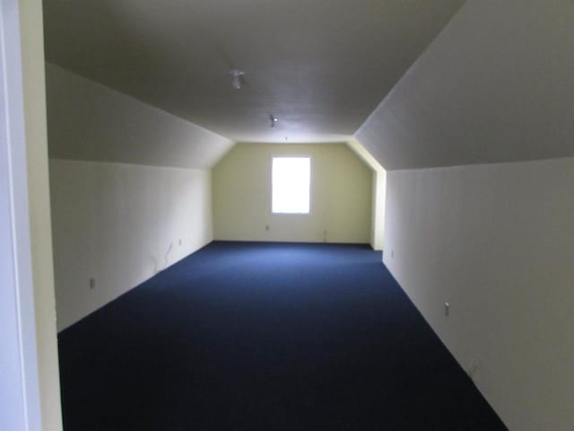 additional living space with carpet and lofted ceiling