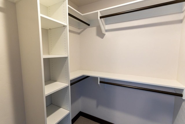 view of spacious closet