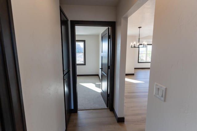 corridor featuring hardwood / wood-style floors and a notable chandelier