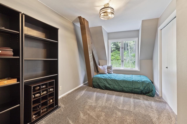 bedroom with carpet floors