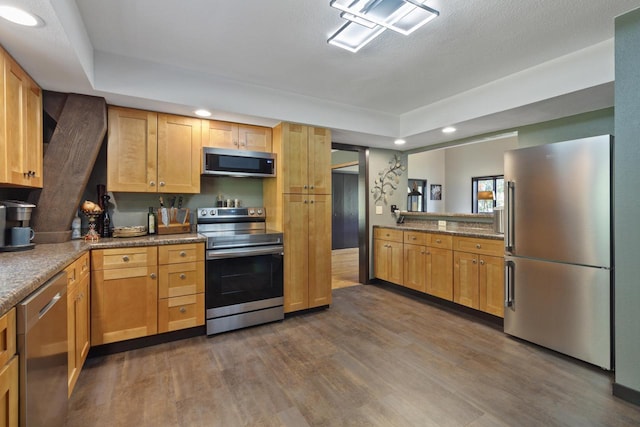 kitchen featuring a tray ceiling, stone countertops, dark hardwood / wood-style floors, and appliances with stainless steel finishes