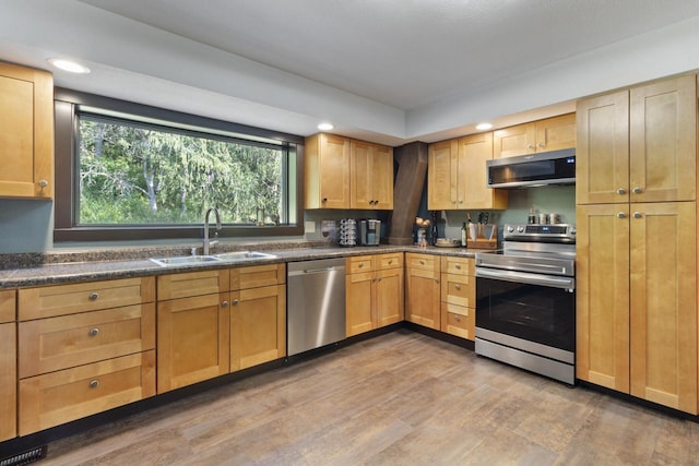 kitchen with hardwood / wood-style flooring, sink, and stainless steel appliances