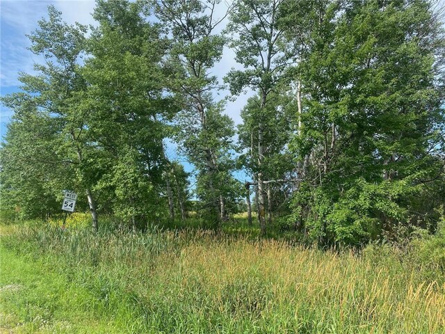 TBD Hupp St, Braham, MN 55006