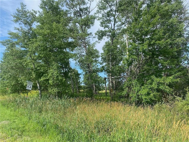 TBD Hupp St, Braham, MN 55006