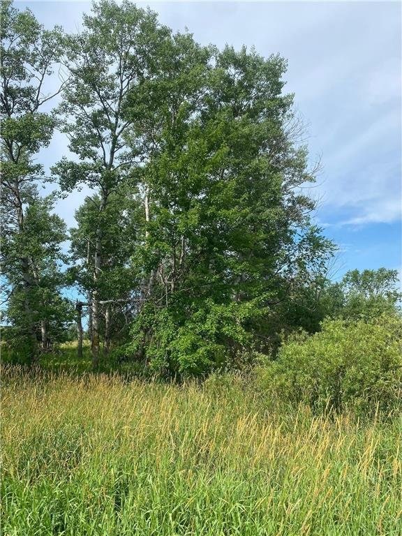 TBD Hupp St, Braham, MN 55006