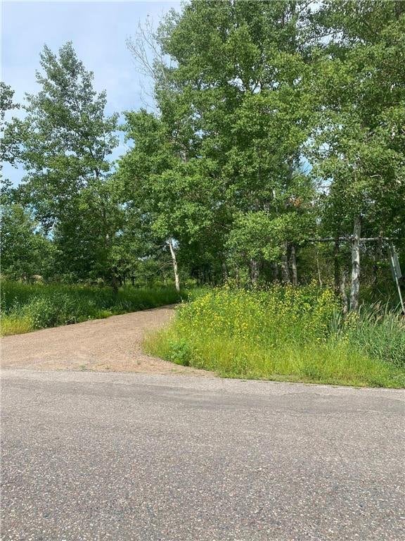 TBD Hupp St, Braham, MN 55006
