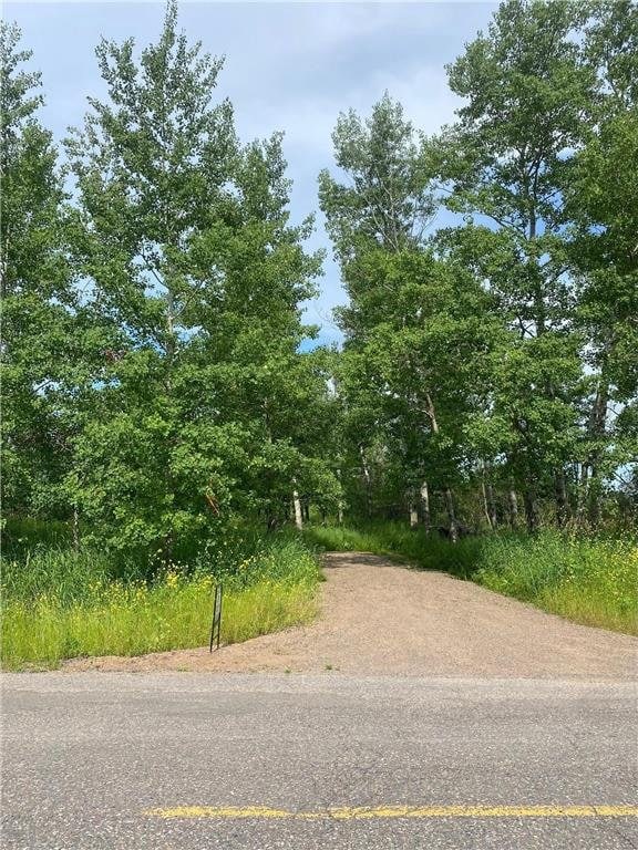 TBD Hupp St, Braham, MN 55006