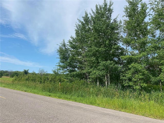 TBD Hupp St, Braham, MN 55006