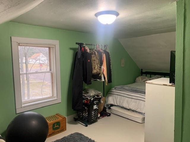 bedroom featuring vaulted ceiling