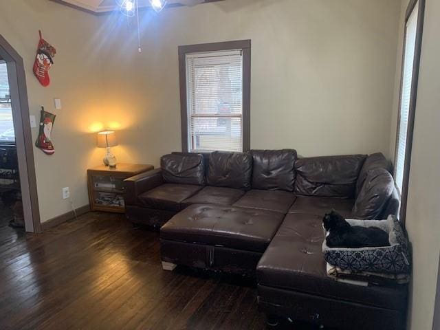 living room with hardwood / wood-style flooring