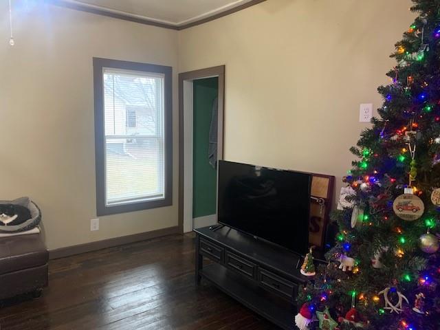 living room featuring ornamental molding and dark wood-type flooring