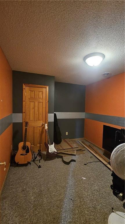 miscellaneous room featuring a textured ceiling and carpet floors