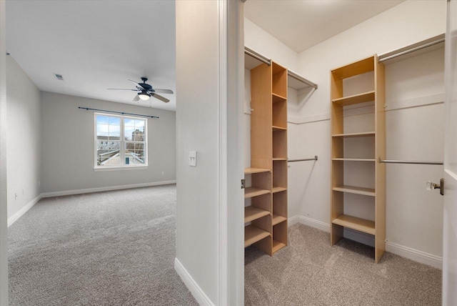 walk in closet with ceiling fan and carpet