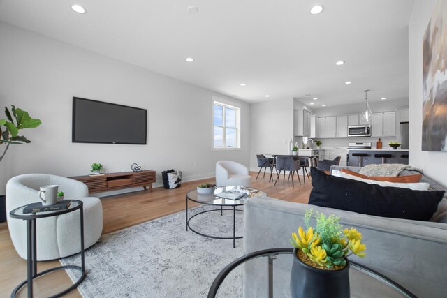 living room with light hardwood / wood-style flooring