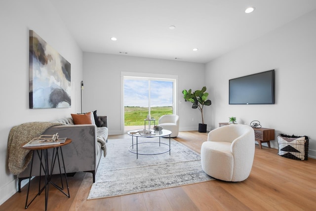 living room with wood-type flooring