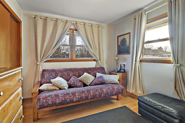 living room featuring light hardwood / wood-style floors