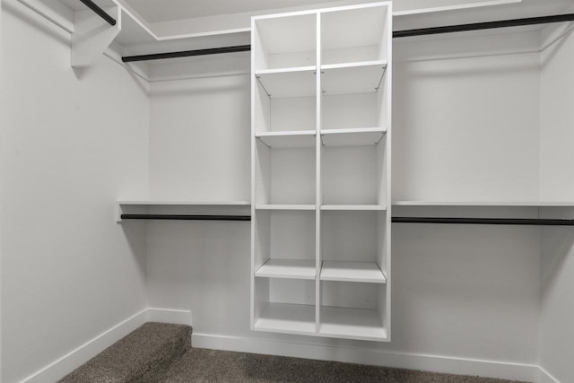 spacious closet with carpet flooring