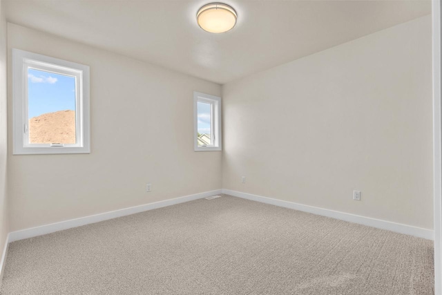 unfurnished room with carpet floors and a healthy amount of sunlight