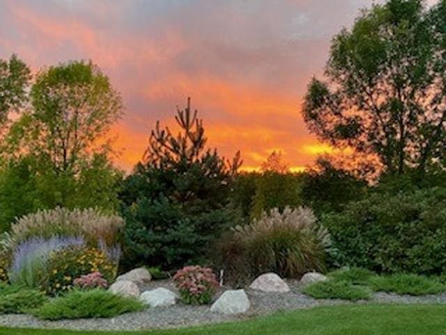 view of yard at dusk