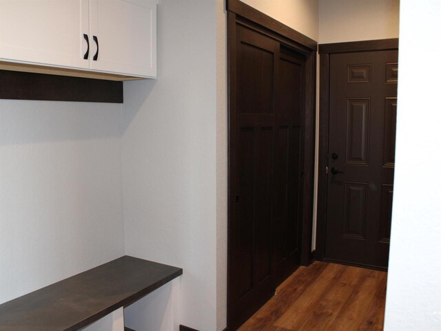 W4241 Hilltop Dr, Fond Du Lac, WI 54937 - mudroom featuring dark hardwood / wood-style floors