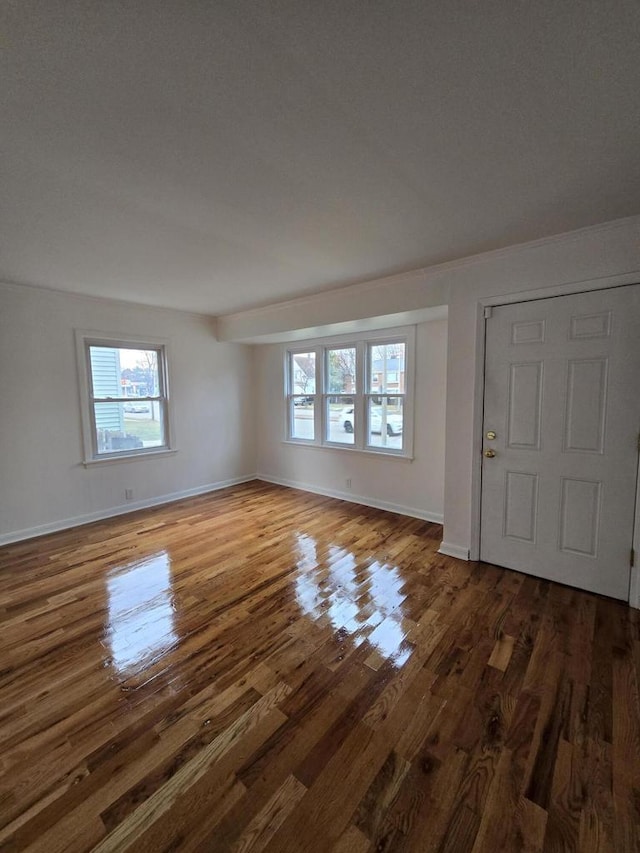 foyer featuring wood-type flooring and plenty of natural light