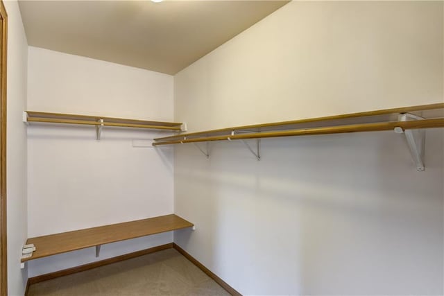 walk in closet featuring carpet and vaulted ceiling