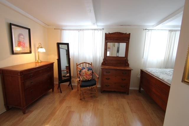 sitting room with light hardwood / wood-style floors